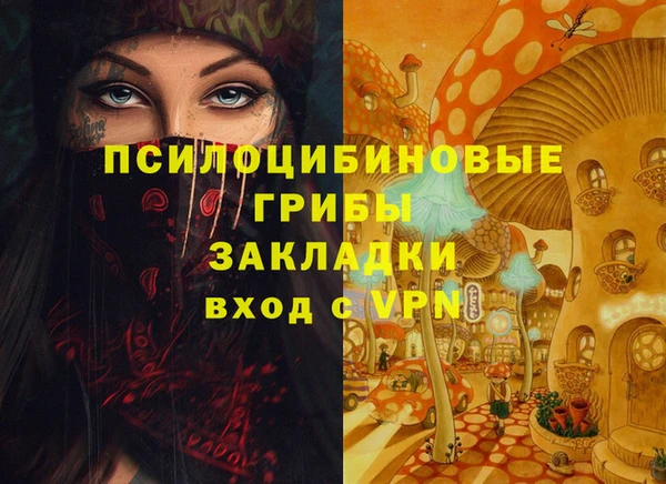 ГАЛЛЮЦИНОГЕННЫЕ ГРИБЫ Богородицк