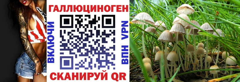 Псилоцибиновые грибы Cubensis Сердобск