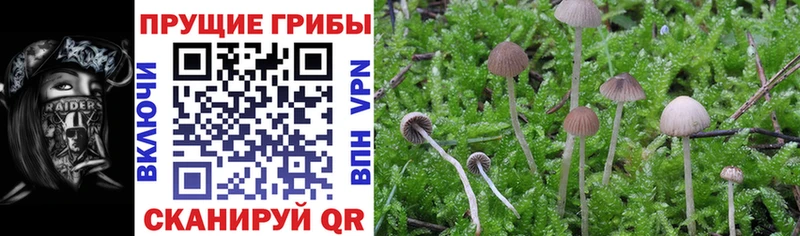 Галлюциногенные грибы ЛСД  Сердобск 