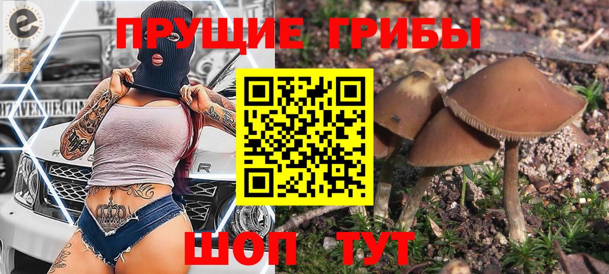 Галлюциногенные грибы Magic Shrooms Сердобск