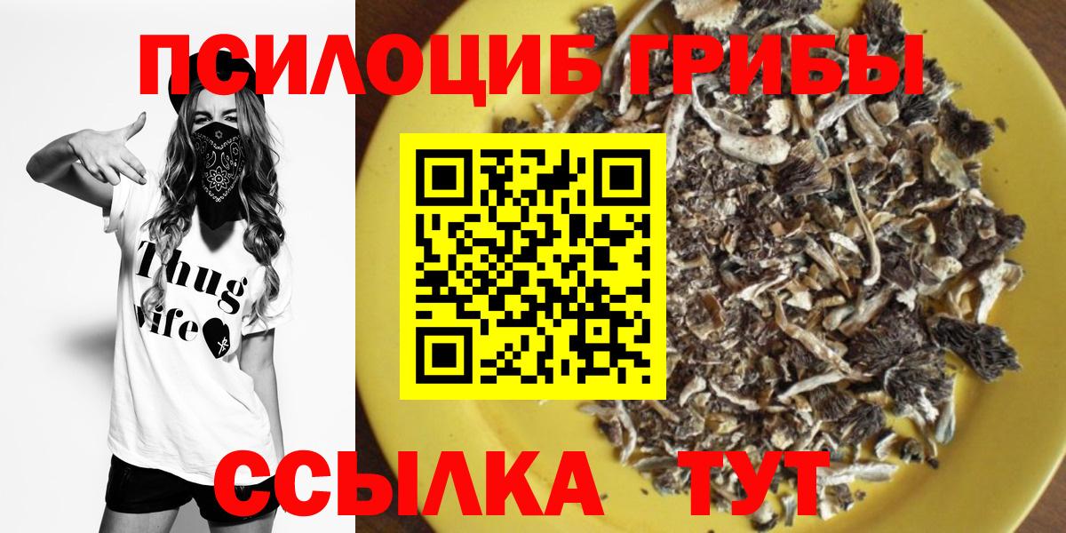 Псилоцибиновые грибы прущие грибы  Галлюциногенные грибы MAGIC MUSHROOMS  Вход с VPN  Сердобск 